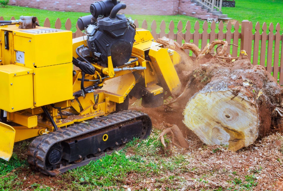 Tree & Stump Removal Flowery Branch GA